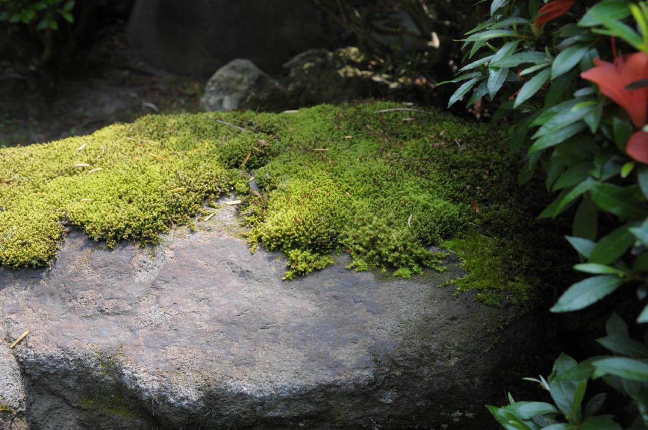 Historical Ryokan Senyukan Owani 외부 사진
