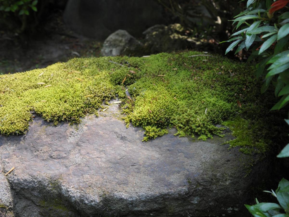 Historical Ryokan Senyukan Owani 외부 사진
